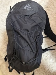 Gregory Backpack ARRIO 22L 黑色