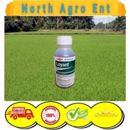 Loyant Racun rumput padi Dow AgroScience -500ml