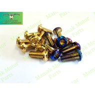 【1PCS/4PCS】 M8*20 / M8 x 20  Alloy Screw Titanium Gold Burnt Titanium Brake Disc/Skru Aloi Brek Disk