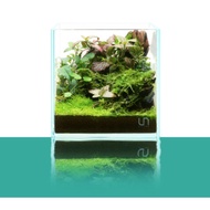 Ultum Nature Systems Cube Clear UNS Rimless Tank - ideal for betta fish