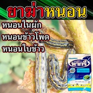 (เห็นผล100%) สารกำจัดหนอน ทุกชนิด ยาฆ่าหนอน ยาฆ่าหนอนในหอม ยาฆ่าหนอนในนา ยาฆ่าหนอนในผัก ยาหนอนในนาข้