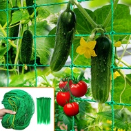 Climbing Plant Trellis - Heavy Duty Garden Trellis for Cucumbers, Vines, Fruits and Vegetables, Toma