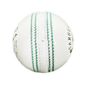 Cricket Training ball 156gr