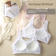 baju dalam budak perempuan seluar dalam budak perempuan 140jin menambah lemak dan seluar dalam cawan