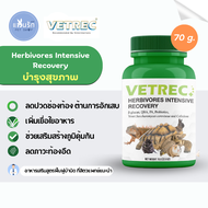 VETREC HERBIVORES INTENSIVE RECOVERY อาหารเสริมสุขภาพสัตว์กินพืช 70 g.