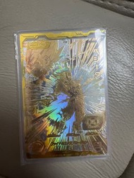 龍珠閃咭