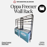 FREEZER WALL RACK/ FREEZER DISPLAY RACK/ MULTPURPOSE METAL RACK/ ORGANIZER SHOP DISPLAY RACK