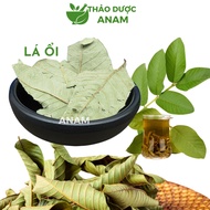 Dried Guava Leaves Lose Weight And Sleep Well, Fragrant Green Without Crumbs, Making Guava Leaf Tea To Lose Weight Anam Herbs