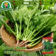 200pcs Spinach Seeds for Planting Vegetables Plants Bonsai Chinese Spinach Seeds Vegetables Seeds Gr