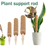 Extendable Coconut Fiber Coir Totem Pole Coco Stick Coco Fiber Pole Batang Tiang Sabut Kelapa