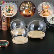 MIOSHOP Glass cloche Home Decor Terrarium Tabletop Spherical Glass Vase Terrarium Jar Flower Storage box
