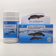 Pro Albumin 100% Snakehead Fish Extract Kutuk/ Snakehead Fish Albumin Capsules 50 capsules