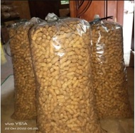 KACANG KULIT SANGRAI MADURA 5kg