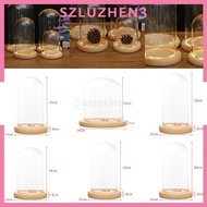 [Szluzhen3] Decorative Clear Glass Cloche Bell Jar Display Case with LED Wooden Base A
