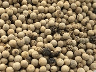 พริกไทยขาว White pepper ขนาด 50 กรัม พริกไทยขาว เครื่องเทศ พริกไทยเม็ดขาว คุณภาพดี พริกไทยขาวเม็ด