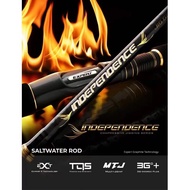 Expert Graphite Independence Bottom / Light Jig Spinning Rod