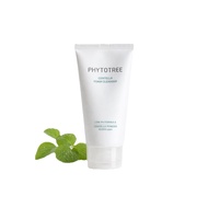 PHYTOTREE CENTELLA FOAM CLEANSER