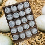 (Bundle Of 40,20) Duck Egg Preserved Egg 20pcs/1box 皮蛋 Century Egg Duck Egg HALAL Eggs Duck Century 