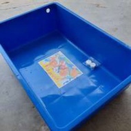 blue tank guppy for fish lobster 🦞 🐠