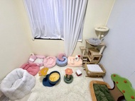 專業治療FIP（腹膜炎）療程