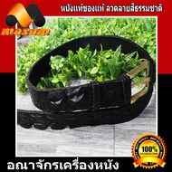 เข็มขัดหนังจระเข้แท้ๆ Belt and Buckle Genuine Crocodile เป็นช่วงกระดูกหลัง ถึงปลายห่าง (สีดำ)