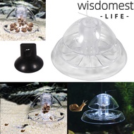 WISDOMEST Snail Trap,  Design Fishing Line Aquarium Snail Trap, Accessories Transparent Box Plastic 