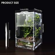 Acrylic Jumping Spider Habitat, Insect Terrarium, Bug Enclosure, Praying Mantis Habitat, Frog Enclos