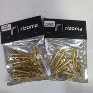 SCREW COVER ENGINE RXZ/Y125ZR RIZOMA