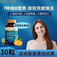 26.8) HerbsofGold Complex Vitamin b Family Repair Nutrition Neurological Damage Australia Helikang 3