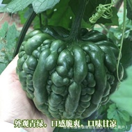 Green Bitter Gourd Seeds Raw Not Bitter Sweet Fruit Bitter Gourd Balcony Courtyard Four Seasons Sowi