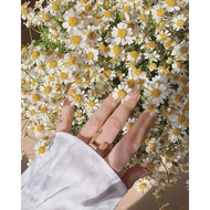 PRELOVED/BUNDLE NO FUSSY BUYER