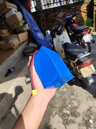 Pin cho xe điện và lưu trữ  48V - 15Ah