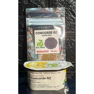 ✗❈☏Lettuce Concorde RZ Pelleted Seeds by Rijk Zwaan  | Repacked 100pcs | Original Package 1000pcs