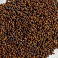 KACANGAN PUERARIA JAVANICA (PJ)