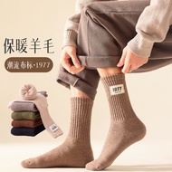 Wool Socks 1977 Cloth Label Men's Towel Socks Warm Trendy Socks Fleece Lining Thickened Mid-Tube Ter