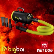 BIGBOI BLOWER MINI