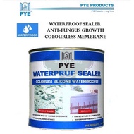 1L PYE Waterpruf Sealer Colorless Silicone Waterproofer 免砸砖透明渗透防水胶 1Kg Warrior SS 10 Shower Seal Ant