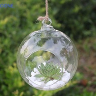 OONE Hanging Tealight Holder, Clear Borosilicate Glass Hanging Glass Vases, Flower Pot 6/8/10/12/15c