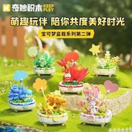 <積木總動員> 啟蒙 K20238/39/41/43 正版授權 寶可夢 波克比/仙子伊布/ 呆火鱷/皮卡丘 盆栽