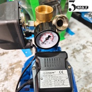 DAYUAN Pressure Tank Electric Water Pump 1/2HP Peripheral Pump with 24L Bladder Tank
