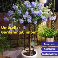 Garden Umbrella Trellis 120–210cm | Single & Double Circle | Climbing Plant Support