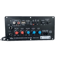 AC 220V 12v 24v Digital Bluetooth Stereo Amplifier Board Subwoofer Dual Microphone Karaoke Amplifier