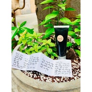 ANHI herbal toothpaste - 1 bean at a time