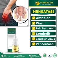 Obat Ambeien Berdarah Wasir Ambeien Stadium 4 Ambeien Luar Dalam Hemoroid Propolis SM Original