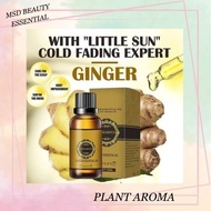 EELHOE Plant Aroma Oil Ginger Essential Oil Ginger Extract