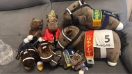 Thoroughbred collection 大震撼