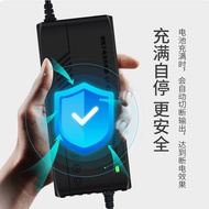 New National Standard 54.75V Lithium Battery Battery Charger 48V2a3a5a8a10a Iron Lithium 15 String L