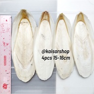 4pcs size 15-16cm Cuttlefish Bone Calcium Squid Shell Cuttlefish Bone Natural Nutrition Export Quali