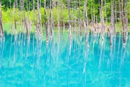 迷你團北海道旅遊｜緩慢民宿體驗.擁抱積丹藍.農夫市集.富良野.美瑛青池.小樽漫遊五日