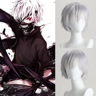 Anime cos Wig Tokyo Ghoul Ghoul Kaneki Ken Silver White Halloween cosplay Wig-Xiaoxie's Grocery Stor
